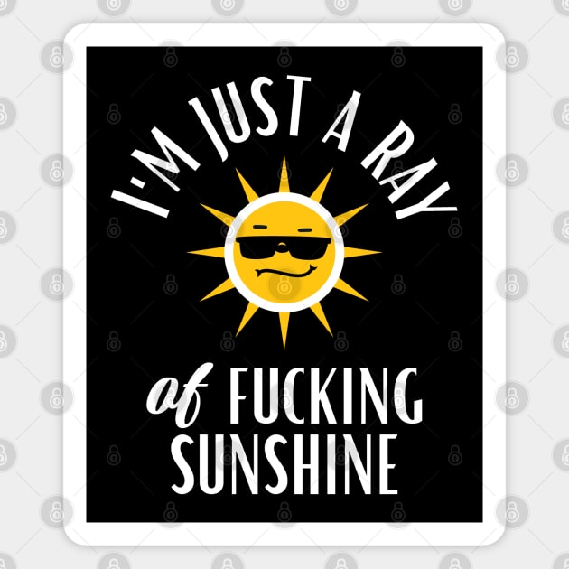 I'm Just a Ray of Fucking Sunshine Funny Sarcastic Magnet by mstory